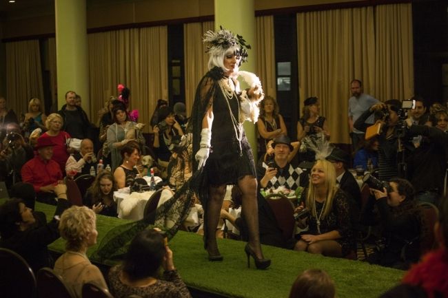 Модные питомцы шоу «New York Pet Fashion Show»