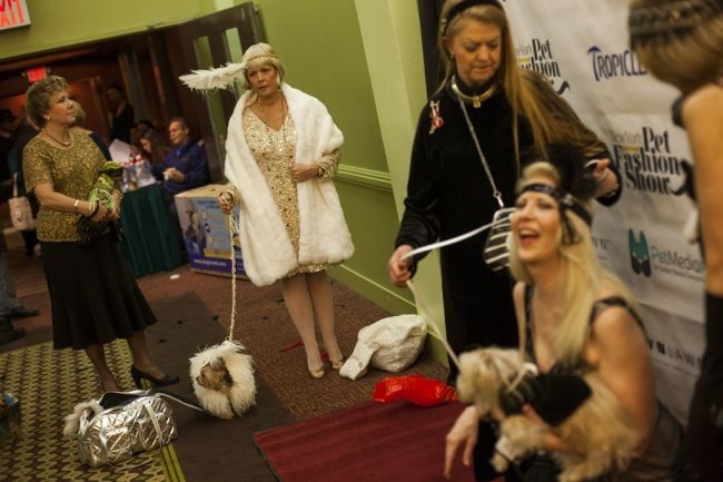 Модные питомцы шоу «New York Pet Fashion Show»