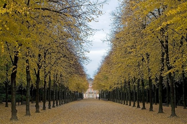 Победители фотоконкурса «International Garden Photographer of the Year»: часть третья