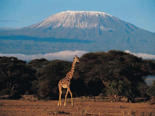 Кіліманджаро - найвища гора Африки