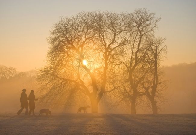 Победители фотоконкурса «International Garden Photographer of the Year»: часть вторая