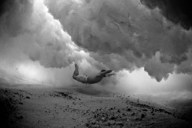 Stunning underwater photos Mark Tipple