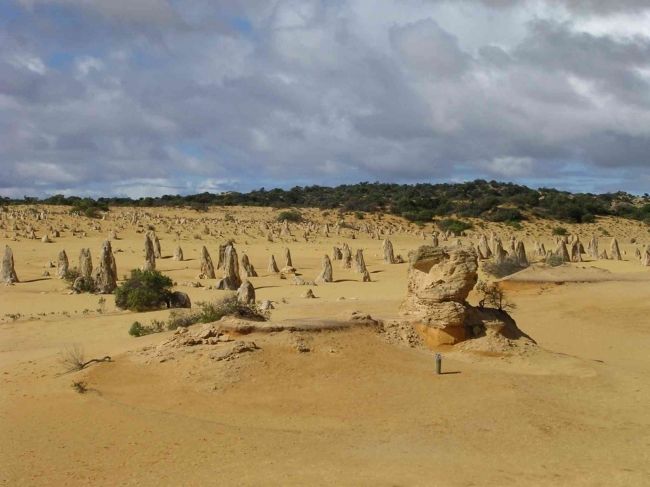 Desert tops