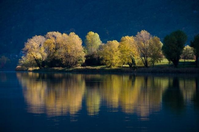 Переможці фотоконкурсу & laquo; International Garden Photographer of the Year & raquo ;: частина третя