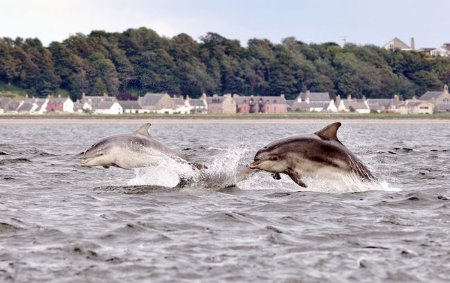 Winners and finalists of the photographic competition