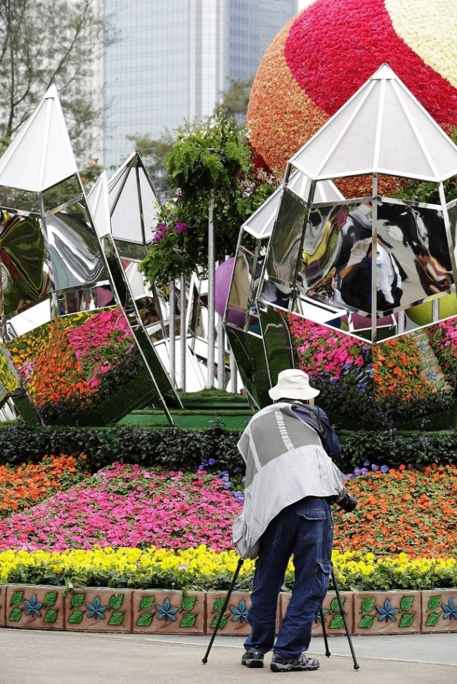 Фестиваль квітів в Гонконзі & laquo; Hong Kong Flower Show 2013 & raquo;