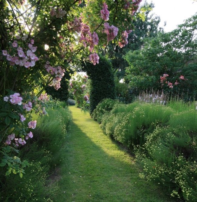 Переможці фотоконкурсу & laquo; International Garden Photographer of the Year & raquo ;: частина третя