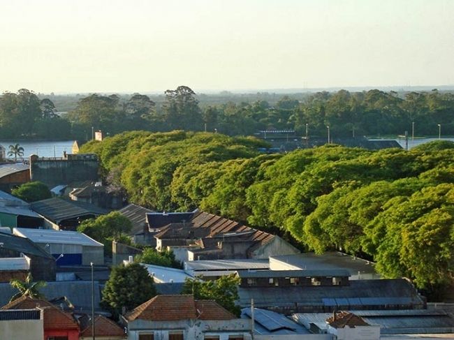 The greenest street in the world