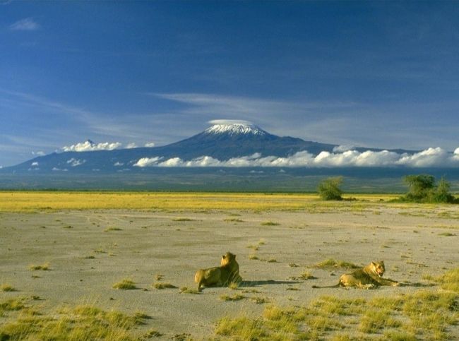 Kilimanjaro is the highest mountain in Africa