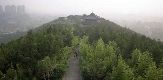 Переможці фотоконкурсу & laquo; International Garden Photographer of the Year & raquo ;: частина друга