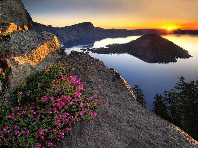 Переможці фотоконкурсу & laquo; International Garden Photographer of the Year & raquo ;: частина перша