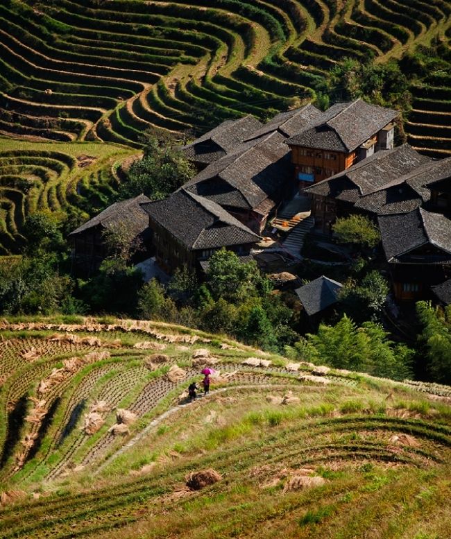 Переможці фотоконкурсу & laquo; International Garden Photographer of the Year & raquo ;: частина третя