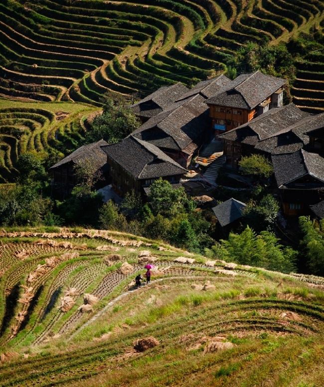 Победители фотоконкурса «International Garden Photographer of the Year»: часть третья