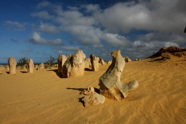 Desert tops