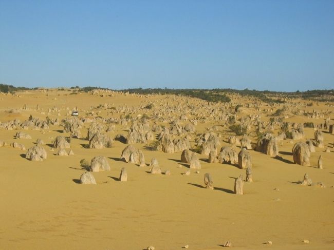 Desert tops