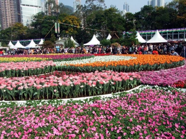 Фестиваль цветов в Гонконге «Hong Kong Flower Show 2013»