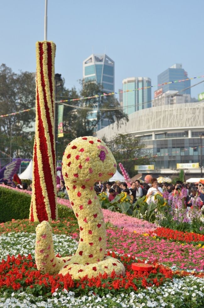 Фестиваль квітів в Гонконзі & laquo; Hong Kong Flower Show 2013 & raquo;