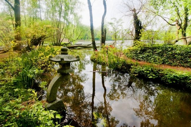 Победители фотоконкурса «International Garden Photographer of the Year»: часть третья