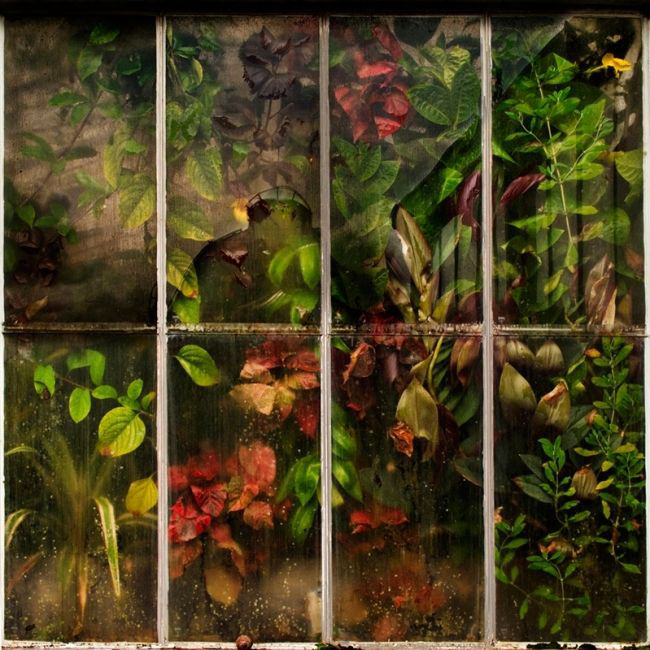 Победители фотоконкурса «International Garden Photographer of the Year»: часть первая