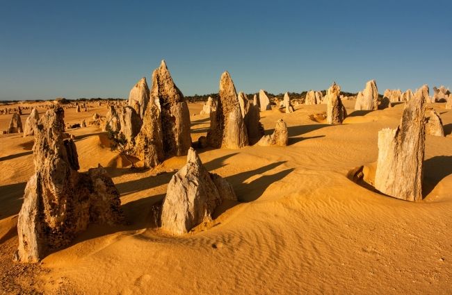 Desert tops