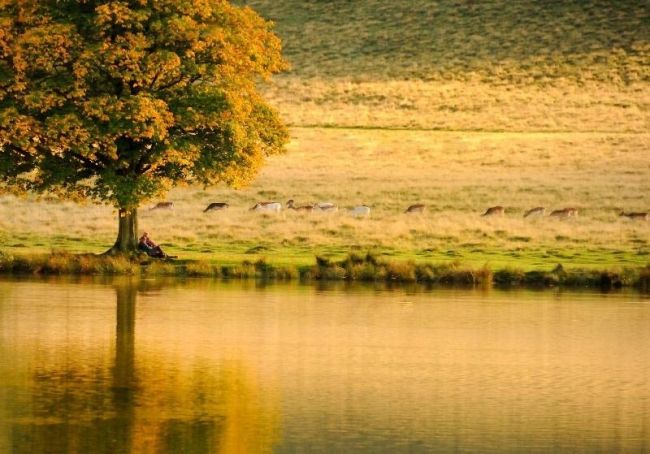 Переможці фотоконкурсу & laquo; International Garden Photographer of the Year & raquo ;: частина друга