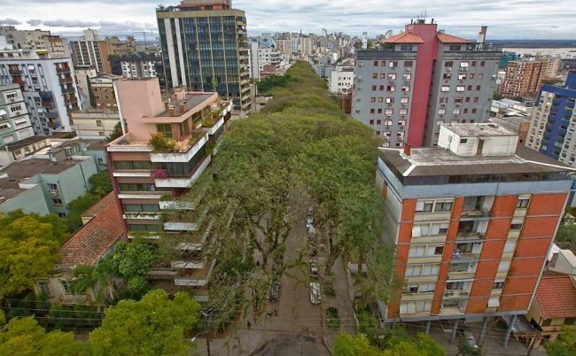 The greenest street in the world