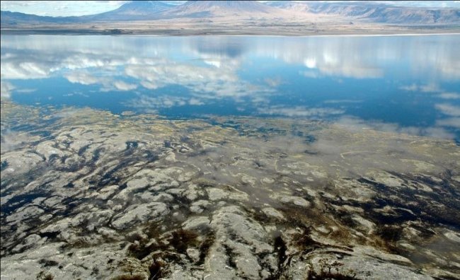 Red and pink Lake Natron in Tanzania