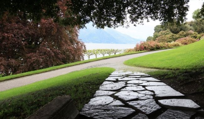 Переможці фотоконкурсу & laquo; International Garden Photographer of the Year & raquo ;: частина третя