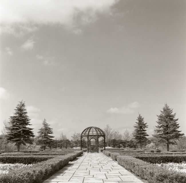 Переможці фотоконкурсу & laquo; International Garden Photographer of the Year & raquo ;: частина третя