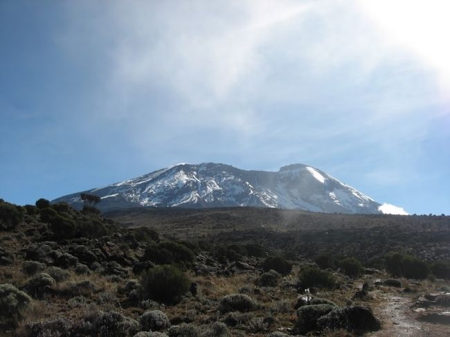 Кіліманджаро - найвища гора Африки