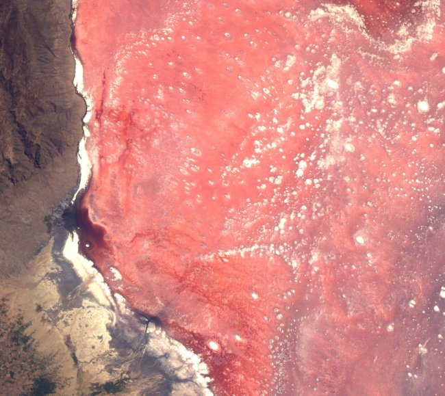 Red and pink Lake Natron in Tanzania