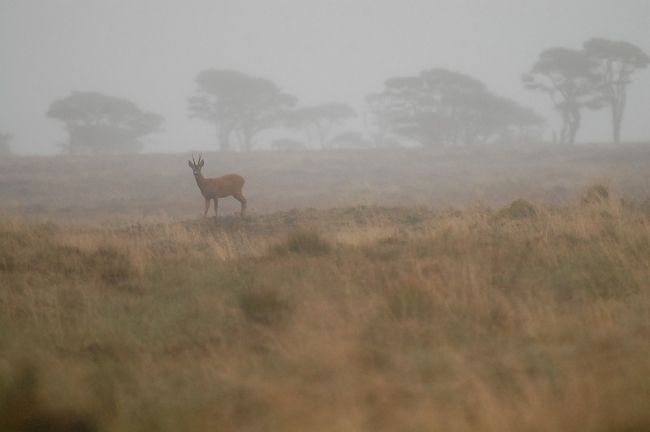 Winners and finalists of the photographic competition