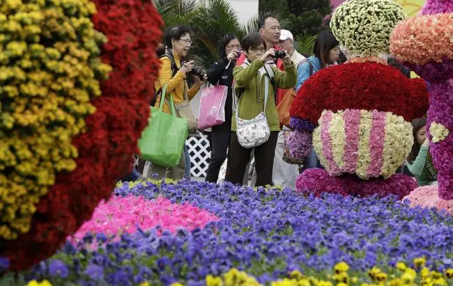 Фестиваль цветов в Гонконге «Hong Kong Flower Show 2013»