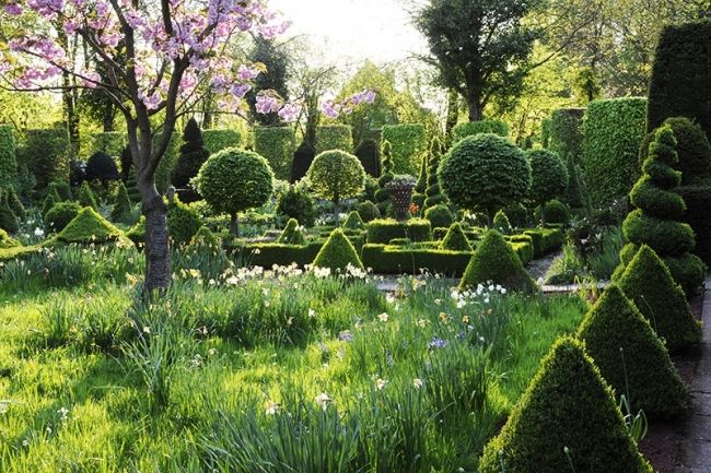 Переможці фотоконкурсу & laquo; International Garden Photographer of the Year & raquo ;: частина третя