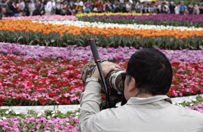 Фестиваль цветов в Гонконге «Hong Kong Flower Show 2013»