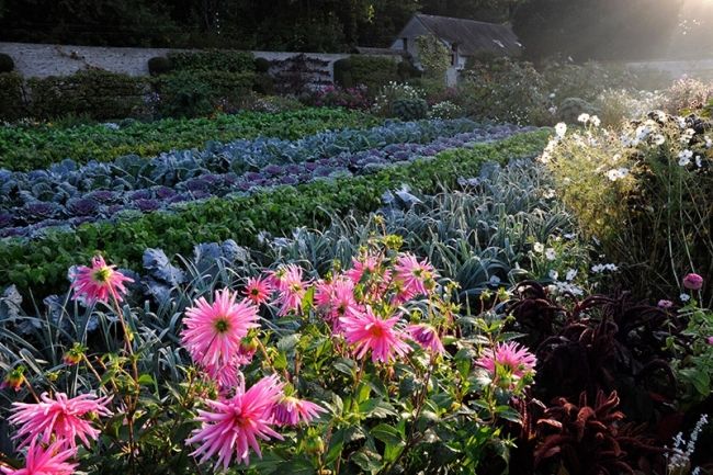 Победители фотоконкурса «International Garden Photographer of the Year»: часть первая