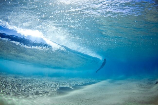 Stunning underwater photos Mark Tipple