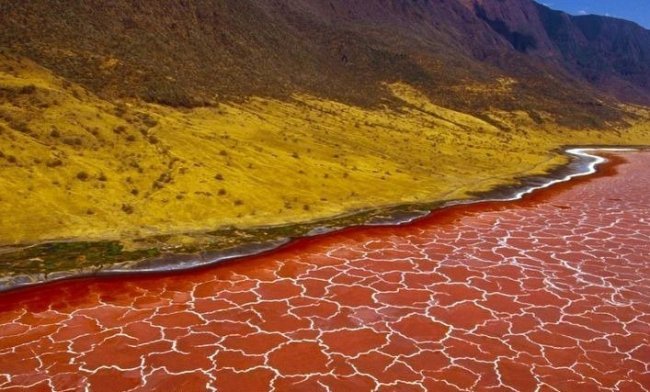 Красно-розовое озеро Натрон в Танзании