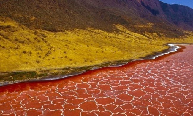 Red and pink Lake Natron in Tanzania