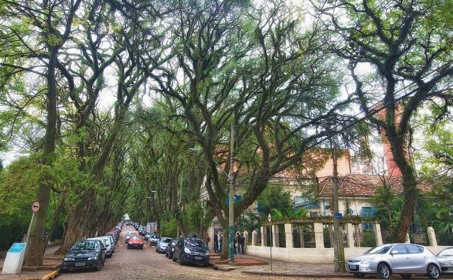 The Greenest Street in the World