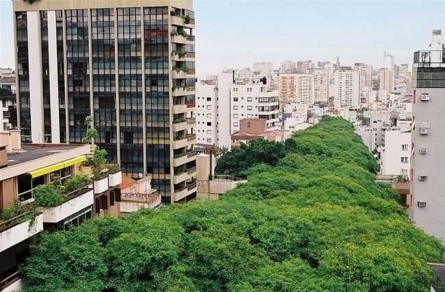 The greenest street in the world