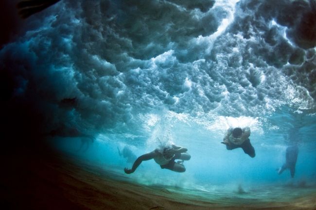 Приголомшливі підводні фотографії Марка Тіппла (Mark Tipple)