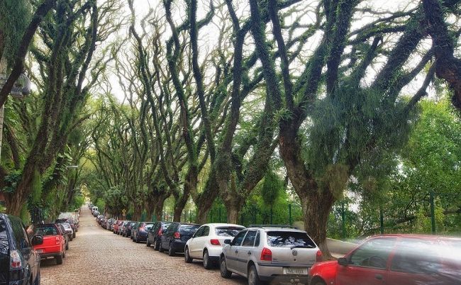 The greenest street in the world