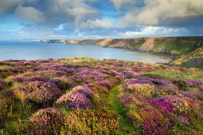 Победители фотоконкурса «International Garden Photographer of the Year»: часть первая