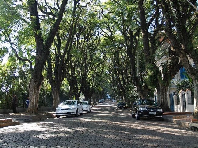 The Greenest Street in the World
