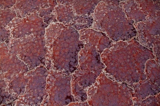 Red and pink Lake Natron in Tanzania