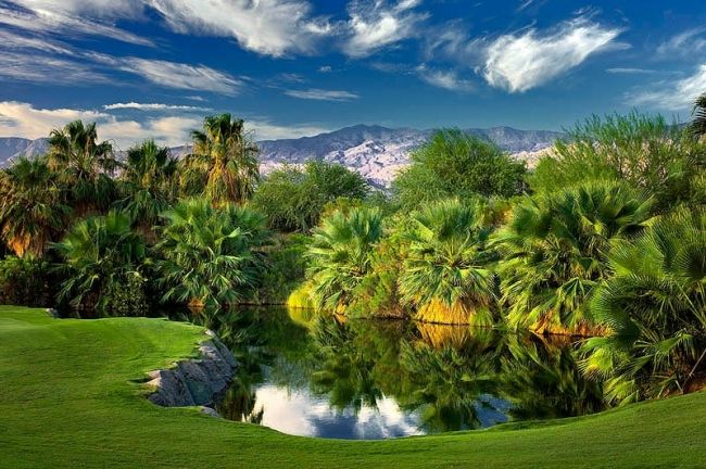 Переможці фотоконкурсу & laquo; International Garden Photographer of the Year & raquo ;: частина перша