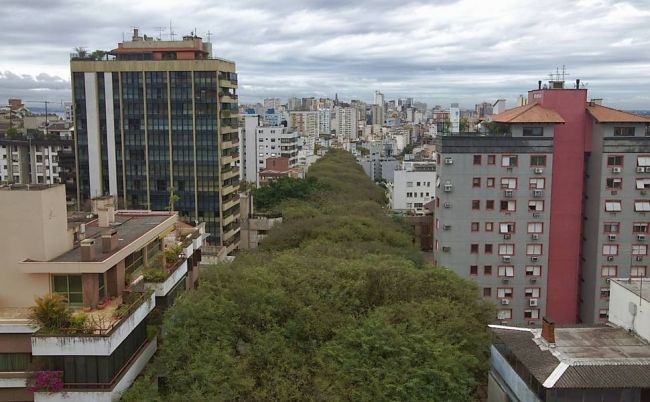 The greenest street in the world