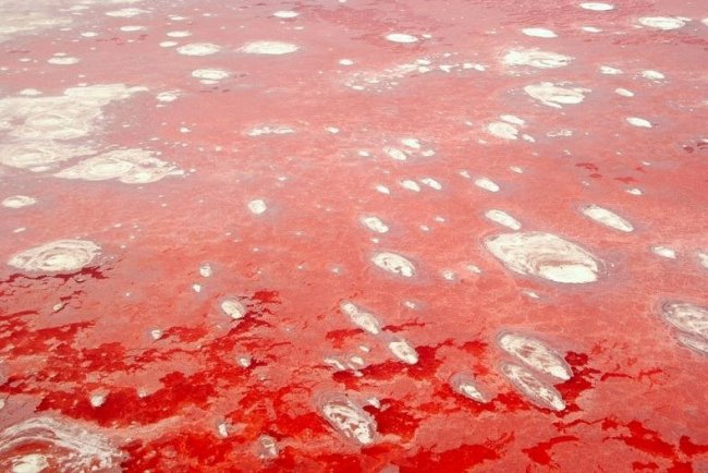 Red and pink Lake Natron in Tanzania