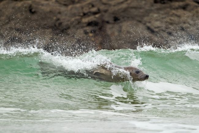 Winners and finalists of the photographic competition